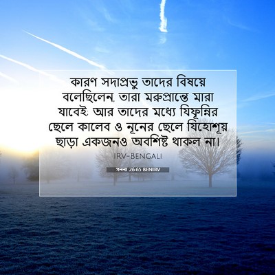 Picture 07 - গননা 26:65 BENIRV - কারণ সদাপ্রভু - Bible Verse Picture