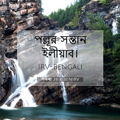 Picture 07 - গননা 26:8 BENIRV - পল্লূর সন্তান - Bible Verse Picture