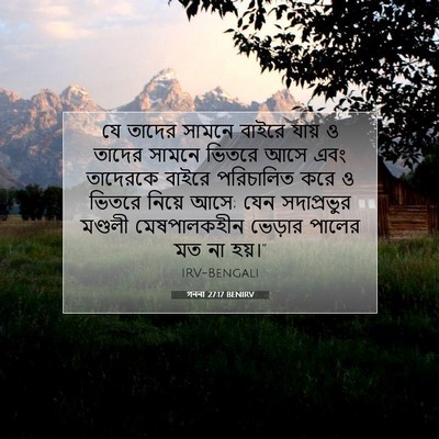 Picture 07 - গননা 27:17 BENIRV - যে তাদের সামনে - Bible Verse Picture