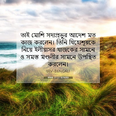 Picture 07 - গননা 27:22 BENIRV - তাই মোশি - Bible Verse Picture