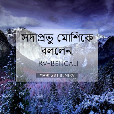 Picture 07 - গননা 28:1 BENIRV - সদাপ্রভু মোশিকে - Bible Verse Picture