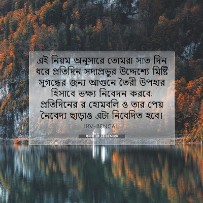Picture 07 - গননা 28:24 BENIRV - এই নিয়ম অনুসারে - Bible Verse Picture