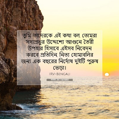 Picture 07 - গননা 28:3 BENIRV - তুমি তাদেরকে এই - Bible Verse Picture
