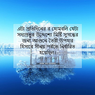 Picture 07 - গননা 28:6 BENIRV - এটা প্রতিদিনের র - Bible Verse Picture