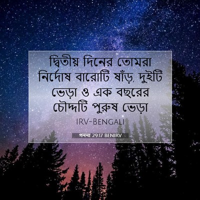 Picture 07 - গননা 29:17 BENIRV - দ্বিতীয় দিনের - Bible Verse Picture