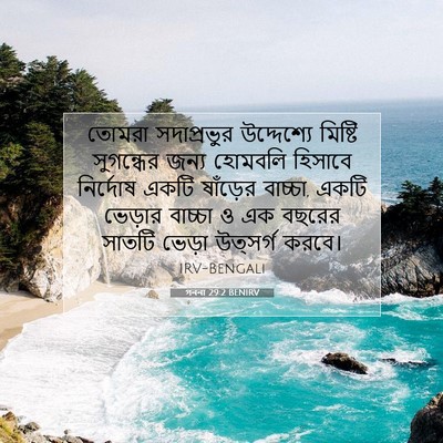 Picture 07 - গননা 29:2 BENIRV - তোমরা সদাপ্রভুর - Bible Verse Picture