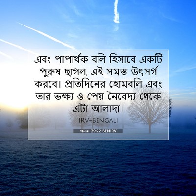 Picture 07 - গননা 29:22 BENIRV - এবং পাপার্থক বলি - Bible Verse Picture