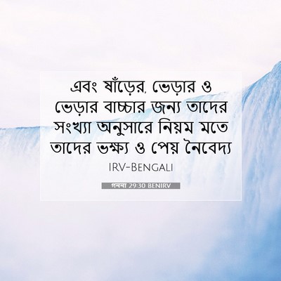 Picture 07 - গননা 29:30 BENIRV - এবং ষাঁড়ের, - Bible Verse Picture