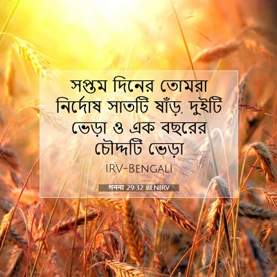 Picture 07 - গননা 29:32 BENIRV - সপ্তম দিনের তোমরা - Bible Verse Picture