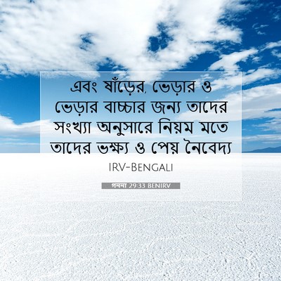 Picture 07 - গননা 29:33 BENIRV - এবং ষাঁড়ের, - Bible Verse Picture