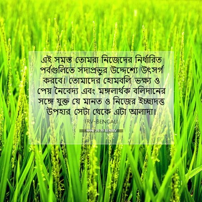 Picture 07 - গননা 29:39 BENIRV - এই সমস্ত তোমরা - Bible Verse Picture
