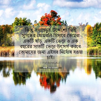 Picture 07 - গননা 29:8 BENIRV - কিন্তু সদাপ্রভুর - Bible Verse Picture