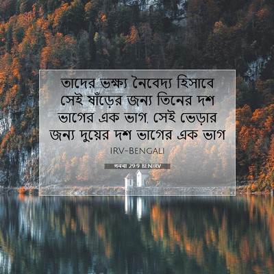 Picture 07 - গননা 29:9 BENIRV - তাদের ভক্ষ্য - Bible Verse Picture