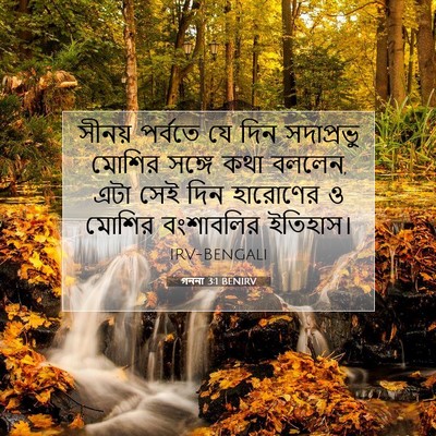 Picture 07 - গননা 3:1 BENIRV - সীনয় পর্বতে যে - Bible Verse Picture