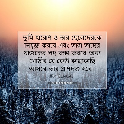 Picture 07 - গননা 3:10 BENIRV - তুমি হারোণ ও তার - Bible Verse Picture