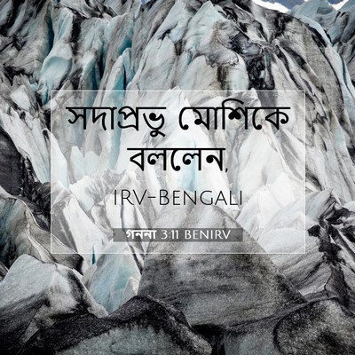 Picture 07 - গননা 3:11 BENIRV - সদাপ্রভু মোশিকে - Bible Verse Picture