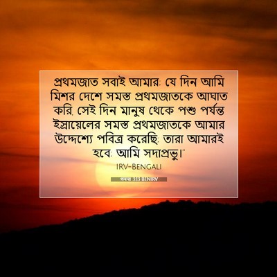 Picture 07 - গননা 3:13 BENIRV - প্রথমজাত সবাই - Bible Verse Picture