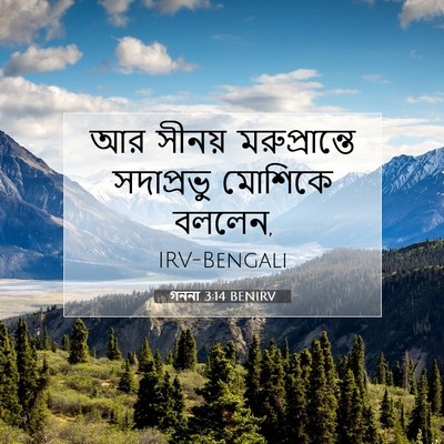 Picture 07 - গননা 3:14 BENIRV - আর সীনয় - Bible Verse Picture