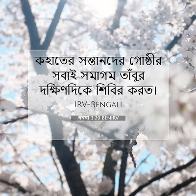 Picture 07 - গননা 3:29 BENIRV - কহাতের সন্তানদের - Bible Verse Picture