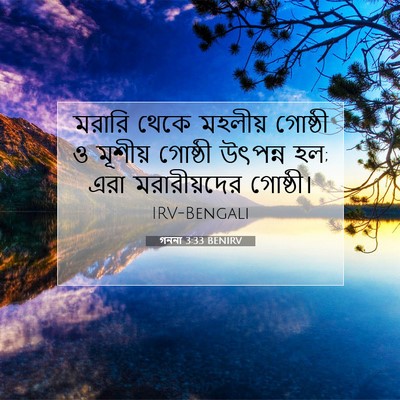 Picture 07 - গননা 3:33 BENIRV - মরারি থেকে মহলীয় - Bible Verse Picture