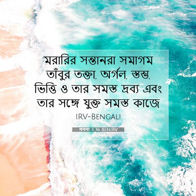 Picture 07 - গননা 3:36 BENIRV - মরারির সন্তানরা - Bible Verse Picture