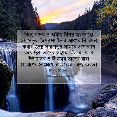 Picture 07 - গননা 3:4 BENIRV - কিন্তু নাদব ও - Bible Verse Picture