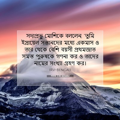 Picture 07 - গননা 3:40 BENIRV - সদাপ্রভু মোশিকে - Bible Verse Picture