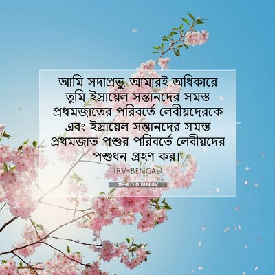 Picture 07 - গননা 3:41 BENIRV - আমি সদাপ্রভু, - Bible Verse Picture