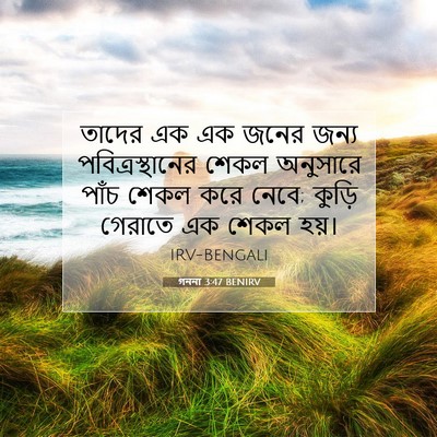 Picture 07 - গননা 3:47 BENIRV - তাদের এক এক জনের - Bible Verse Picture