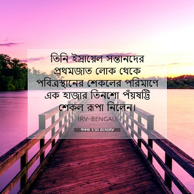 Picture 07 - গননা 3:50 BENIRV - তিনি ইস্রায়েল - Bible Verse Picture