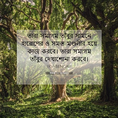 Picture 07 - গননা 3:7 BENIRV - তারা সমাগম তাঁবুর - Bible Verse Picture