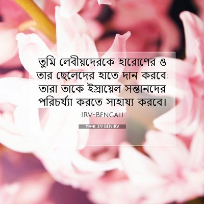 Picture 07 - গননা 3:9 BENIRV - তুমি লেবীয়দেরকে - Bible Verse Picture