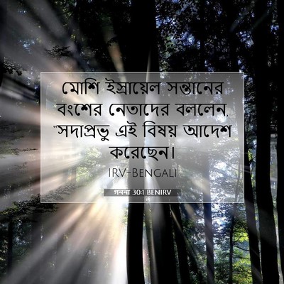 Picture 07 - গননা 30:1 BENIRV - মোশি ইস্রায়েল - Bible Verse Picture
