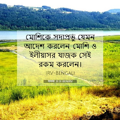 Picture 07 - গননা 31:31 BENIRV - মোশিকে সদাপ্রভু - Bible Verse Picture