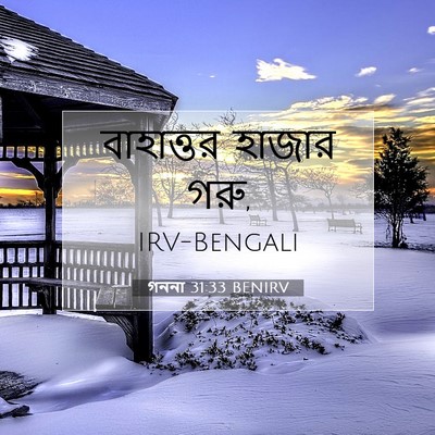 Picture 07 - গননা 31:33 BENIRV - বাহাত্তর হাজার - Bible Verse Picture