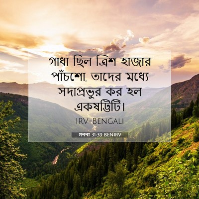 Picture 07 - গননা 31:39 BENIRV - গাধা ছিল ত্রিশ - Bible Verse Picture
