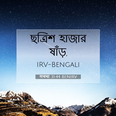 Picture 07 - গননা 31:44 BENIRV - ছত্রিশ হাজার - Bible Verse Picture