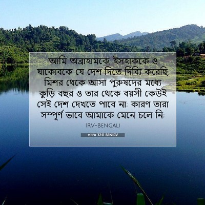 Picture 07 - গননা 32:11 BENIRV - ‘আমি অব্রাহামকে, - Bible Verse Picture