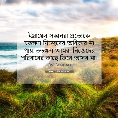 Picture 07 - গননা 32:18 BENIRV - ইস্রায়েল - Bible Verse Picture