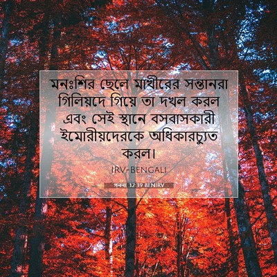 Picture 07 - গননা 32:39 BENIRV - মনঃশির ছেলে - Bible Verse Picture