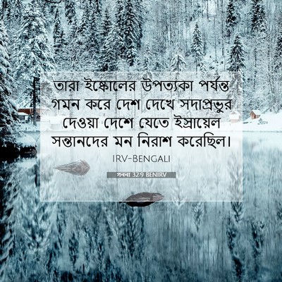 Picture 07 - গননা 32:9 BENIRV - তারা ইষ্কোলের - Bible Verse Picture