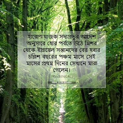 Picture 07 - গননা 33:38 BENIRV - হারোণ যাজক - Bible Verse Picture