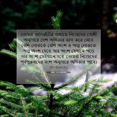 Picture 07 - গননা 33:54 BENIRV - তোমরা গুলিবাঁটের - Bible Verse Picture