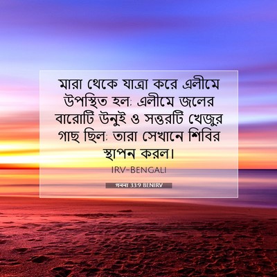Picture 07 - গননা 33:9 BENIRV - মারা থেকে যাত্রা - Bible Verse Picture