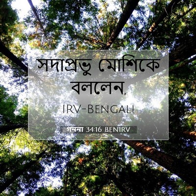 Picture 07 - গননা 34:16 BENIRV - সদাপ্রভু মোশিকে - Bible Verse Picture