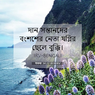 Picture 07 - গননা 34:22 BENIRV - দান সন্তানদের - Bible Verse Picture