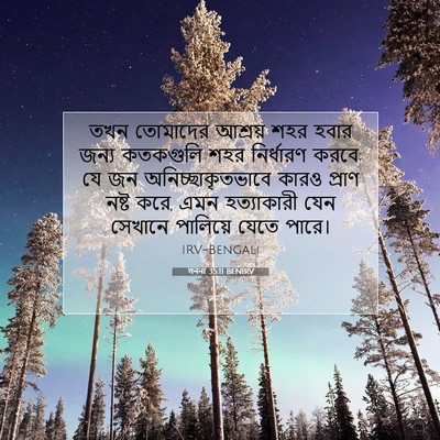 Picture 07 - গননা 35:11 BENIRV - তখন তোমাদের - Bible Verse Picture