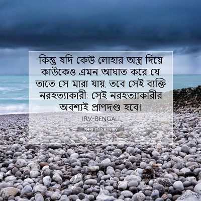 Picture 07 - গননা 35:16 BENIRV - কিন্তু যদি কেউ - Bible Verse Picture