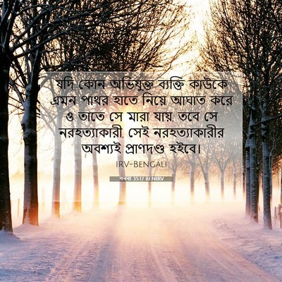 Picture 07 - গননা 35:17 BENIRV - যদি কোন অভিযুক্ত - Bible Verse Picture