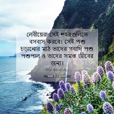 Picture 07 - গননা 35:3 BENIRV - লেবীয়েরা সেই - Bible Verse Picture